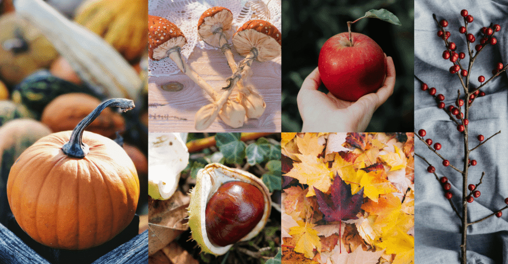 Inspiration pour autel d'automne