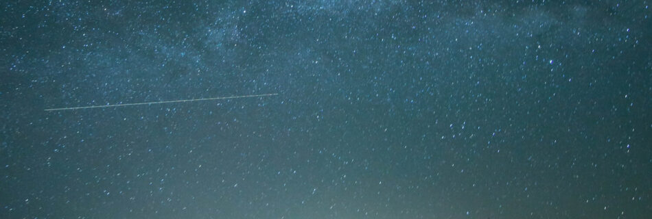 foret sous les étoiles