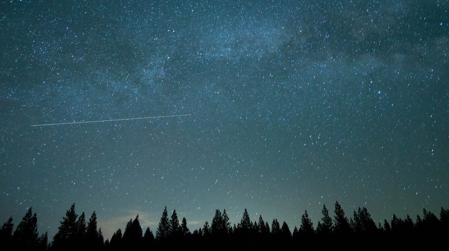 foret sous les étoiles